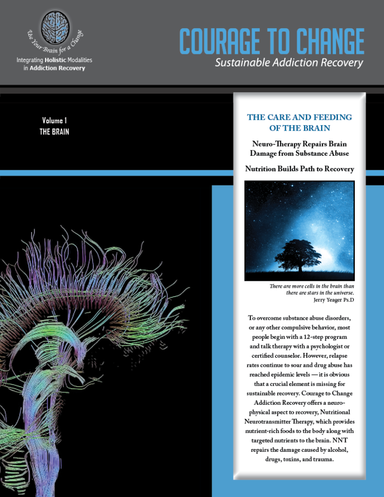 The Brain, Volume 1