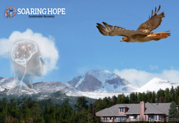 Soaring Hope Identity