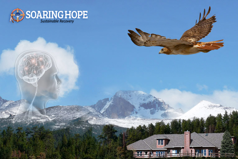 Soaring Hope Identity
