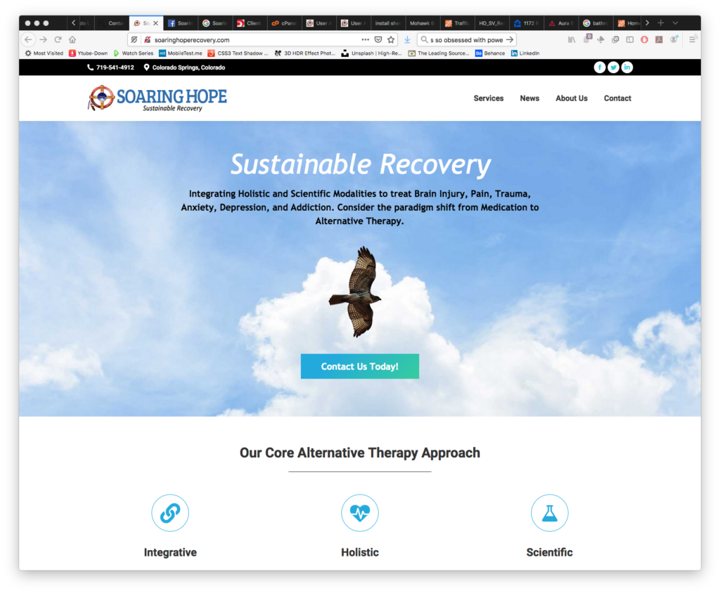 SH Website, Screen Shot 